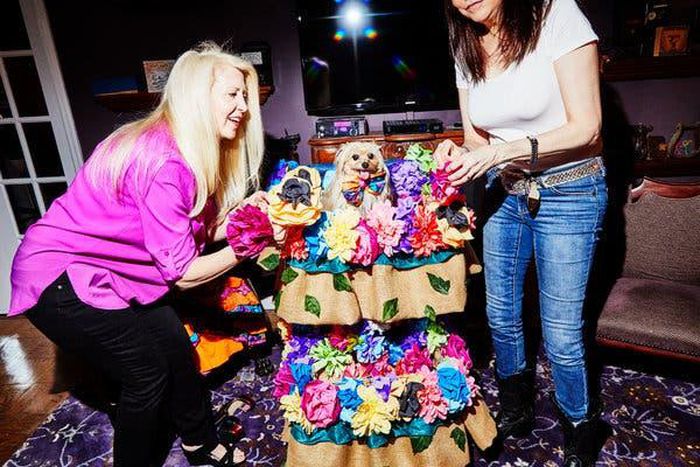 Nxivm trial: Sex cult was like 'horror movie' prosecutor says