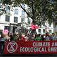 Protesters with placards gather for a demonstration organised by climate change activists from Extinction Rebellion outside the Brazilian embassy in central London on August 23, 2019 calling on Brazil to act to protect the Amazon rainforest from defore...