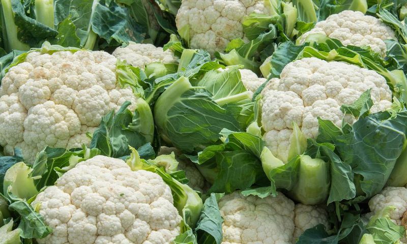 cauliflower