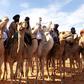 Mauritania is a vast, largely desert country about as big as Egypt and twice the size of France with a population of just 4.5 million