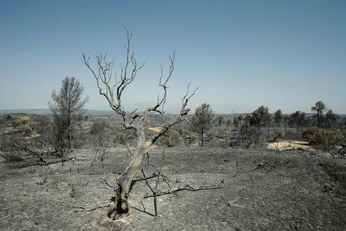 Spain's weather agency said temperatures on Saturday would exceed 36 degrees Celsius (97 degrees Fahrenheit)
