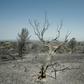 Spain's weather agency said temperatures on Saturday would exceed 36 degrees Celsius (97 degrees Fahrenheit)