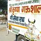 A special ambulance for cows in New Delhi. The animals are revered by Hindus and are frequently the centre of political battles and lynch mob attacks