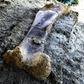 Scientists say the femur might have belonged to a gigantic sauropod