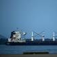 The Bavand, one of two Iranian ships stuck off the coast of Brazil since early last month, is seen anchored in the southern port of Paranagua on July 19, 2019