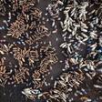 Terminus: Thousands of cattle are trucked to Agege market in Lagos each week to meet spiralling demand for beef