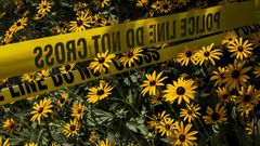 How a Nanny's Adventure in the U.S. Ended in Bloodshed