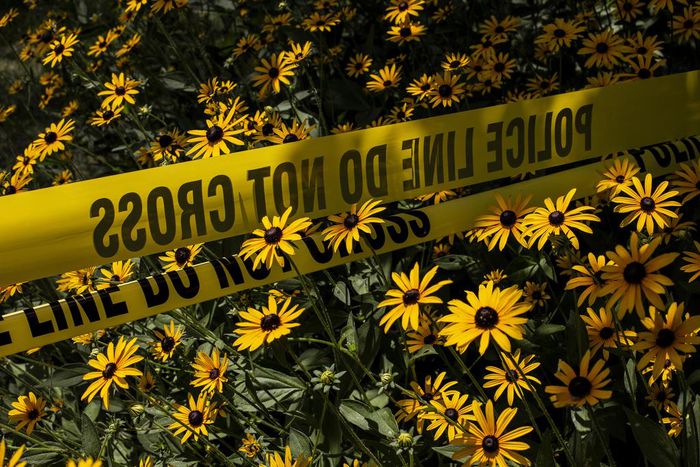 How a Nanny's Adventure in the U.S. Ended in Bloodshed