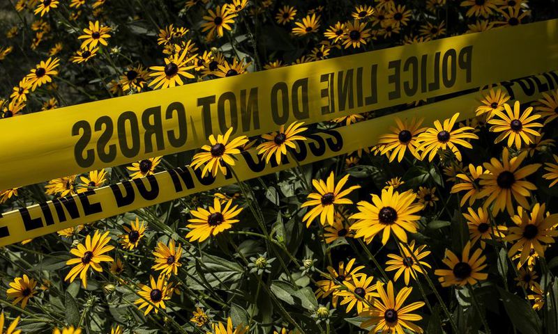 How a Nanny's Adventure in the U.S. Ended in Bloodshed