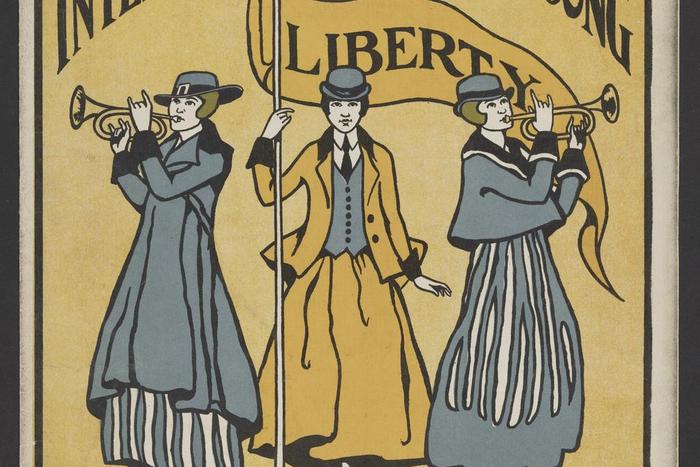 The Complex History of the Women's Suffrage Movement