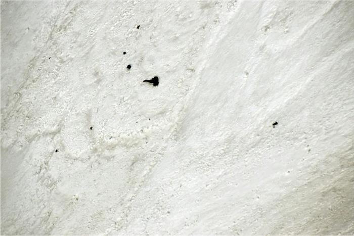 A photo taken from a helicopter and released in early June 2019 shows equipment and bodies in the Nanda Devi area