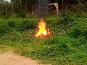 Polytechnic burns phones seized from students during exams