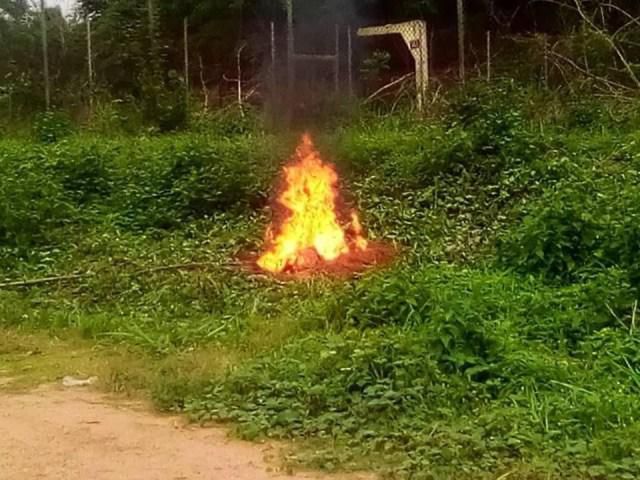 Polytechnic burns phones seized from students during exams