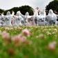 European climate activists, in their trademark white overalls, take part in a training in Viersen, western Germany, on the eve of their mass action aiming to block a huge open-pit coal mine.