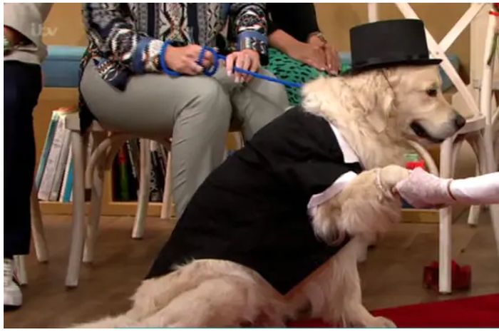 Lady gets fed up with men, marries dog on live TV after 4 engagements failed