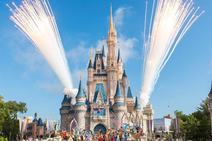 Mom Wants To Ban Childless People From Disney