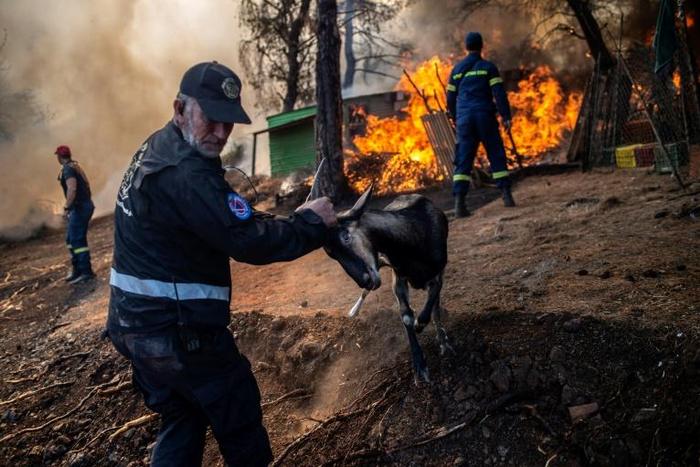 The destructive fire broke out in the early hours of Tuesday on Greece's second-largest island, prompting the evacuation of four villages including Platana