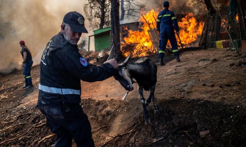 The destructive fire broke out in the early hours of Tuesday on Greece's second-largest island, prompting the evacuation of four villages including Platana