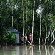 Bangladesh's Flood Forecasting and Warning Centre said at least 26 of the country's 64 districts have been flooded