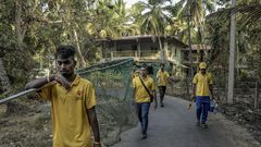 Corralling Rabies, One Street Dog at a Time