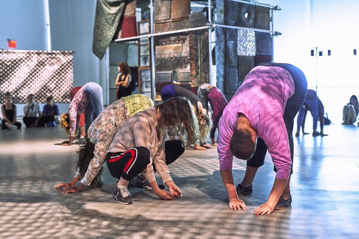 A Choreographer's Reflections on Transience