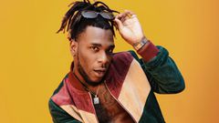Burna Boy performing on stage as cut from the documentary. (The Niche)