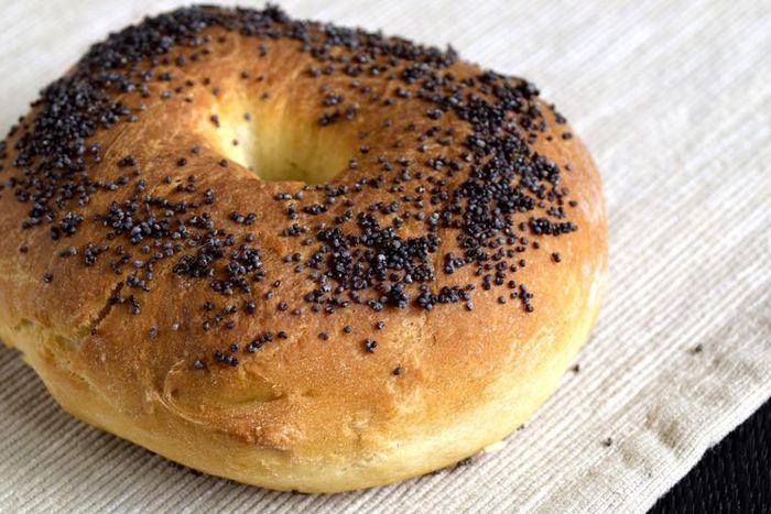 Dr. Pimple Popper Pops 'Fab' Blackheads