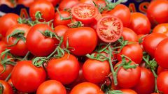 tomatoes