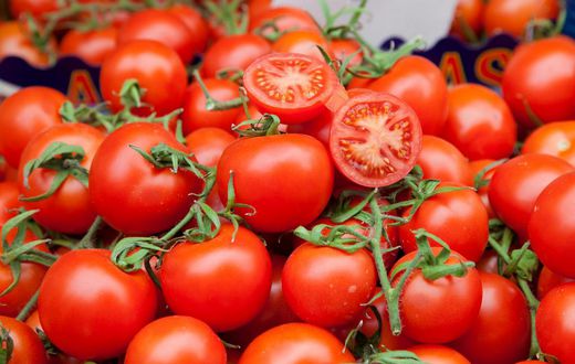tomatoes