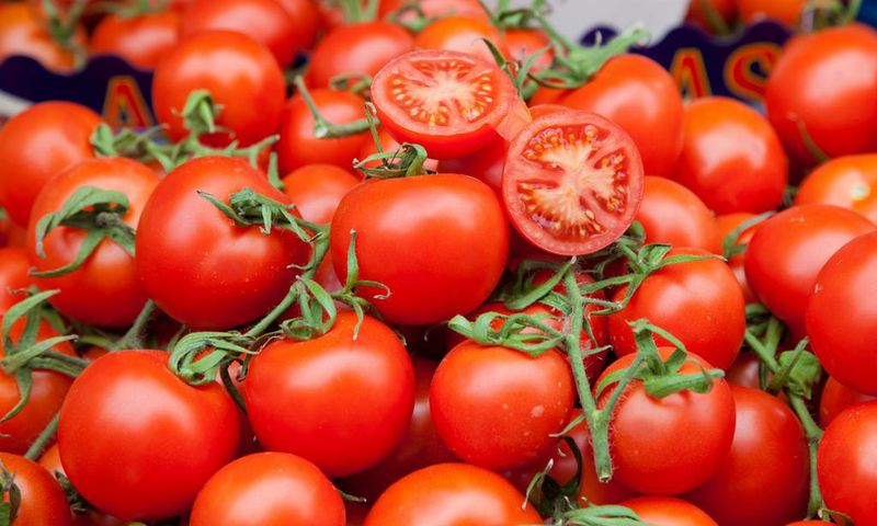 tomatoes