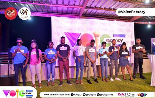 Voice Factory contestants