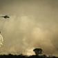 Fires on Indonesia's Sumatra island and the Indonesian part of Borneo island have caused wide-reaching smog