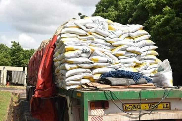 Planting for Food and Jobs fertilizer