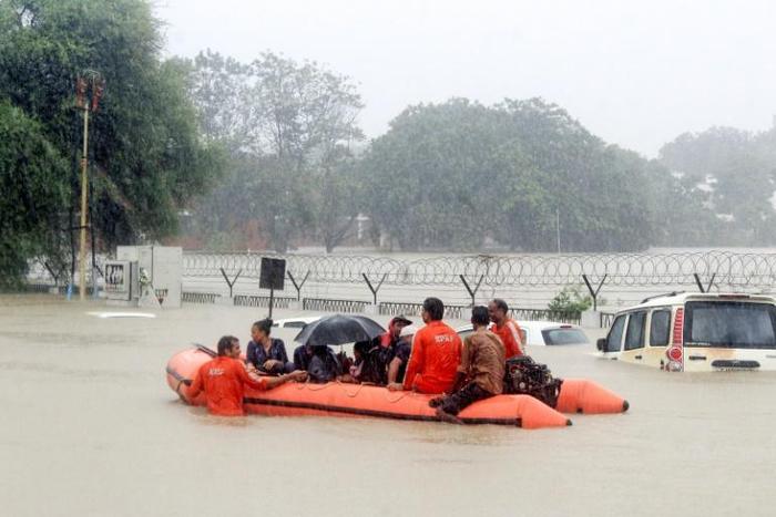 Crocodiles have been spotted hunting in the flooded streets of Vadodara