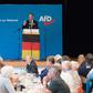 Alternative for Germany (AfD) candidates campaigning in Saxony where they are expected to make huge gains in next week's election
