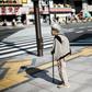 A rapidly ageing population is a major domestic problem in Japan