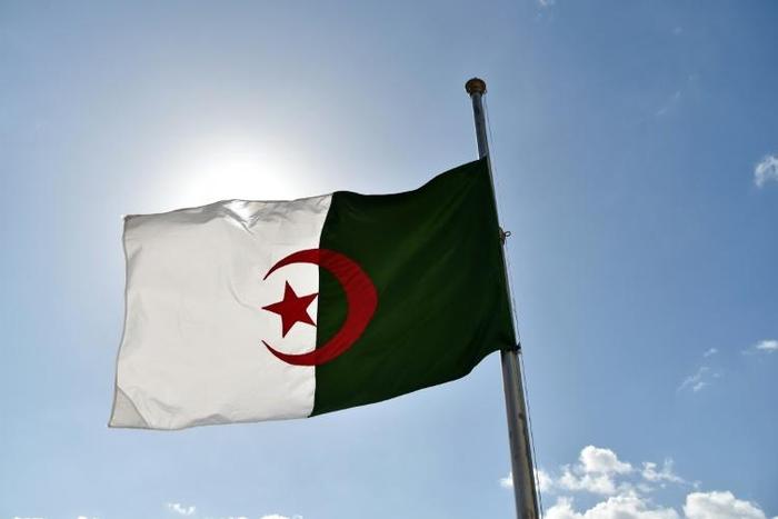 Algerian opposition parties proposed "free and pluralistic" elections "in a period of six months"