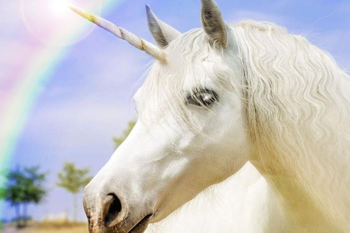 Dr. Pimple Popper Just Popped A Unicorn Cyst