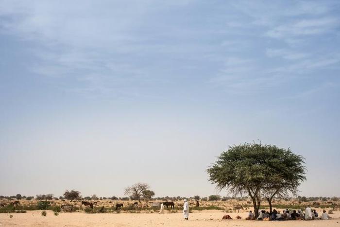 Eastern Chad is in the grip of a cycle of violence between nomadic camel herders -- many from the Zaghawa ethnic group from which President Deby hails -- and sedentary farmers from the Ouaddian community