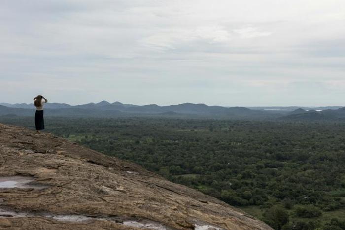 President Maithripala Sirisena said the measures are aimed at raising Sri Lanka's forest cover to 32 percent within a decade from 28 percent now