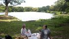 Toxic Algae, Potentially Fatal for Dogs, Blooms in Water of 3 New York City Parks