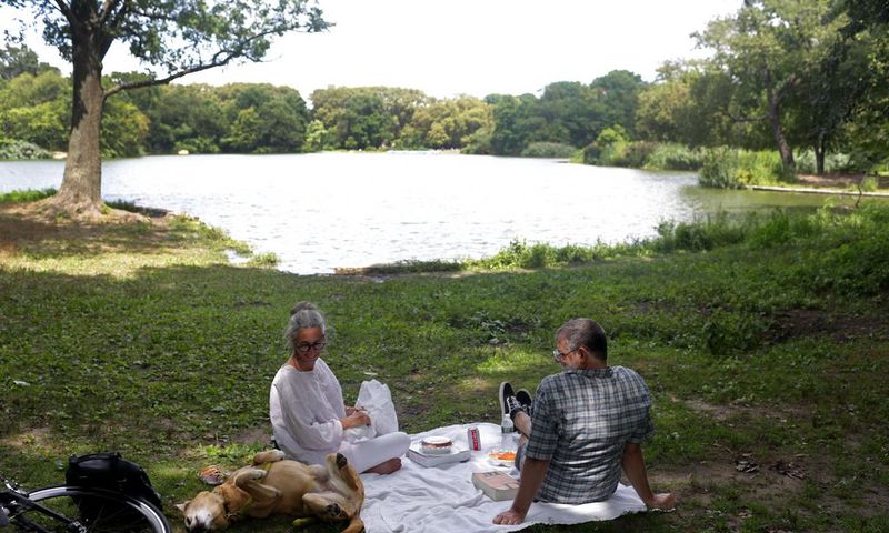Toxic Algae, Potentially Fatal for Dogs, Blooms in Water of 3 New York City Parks