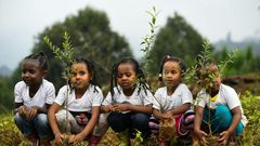 The government said a "record-breaking" 350 million trees were planted in a single day on Monday
