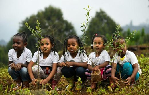 The government said a "record-breaking" 350 million trees were planted in a single day on Monday