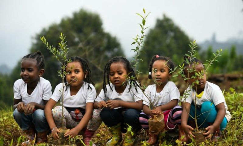 The government said a "record-breaking" 350 million trees were planted in a single day on Monday