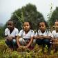 The government said a "record-breaking" 350 million trees were planted in a single day on Monday