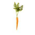 types of penises- hairy carrot