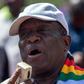 The activists are accused of attending a workshop on how to overthrow the government of Zimbabwe's President Emmerson Mnangagwa