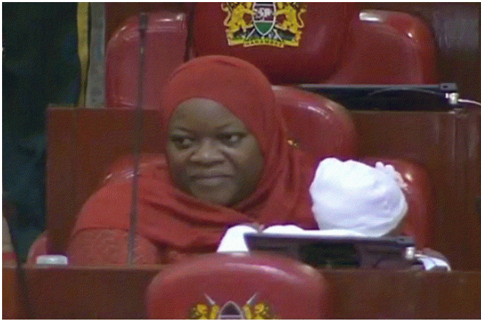 Speaker orders armed security to drive out lactating female MP and her baby from parliament