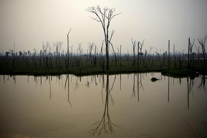 A burnt area of the Amazon rainforest is pictured near Abuna, Rondonia state, Brazil, on August 24, 2019